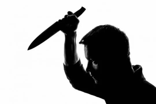    В Санкт-Петербурге мужчина в состоянии белой горячки устроил резню в больнице