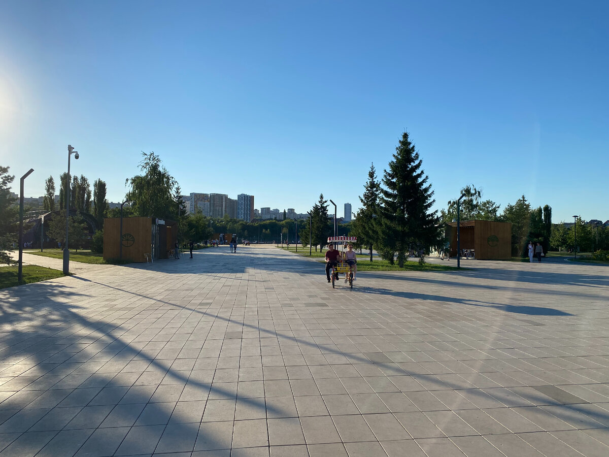 Вот так теперь выглядит главная аллея парка.