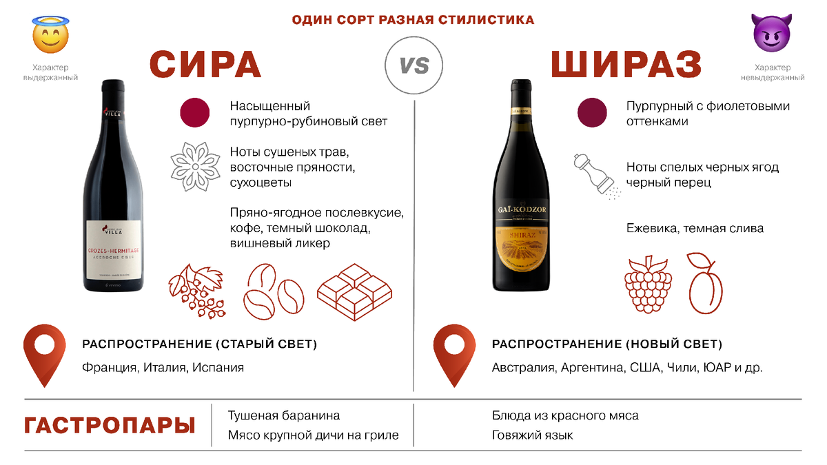 Сира Шираз. Syrah вино. Сира или Шираз. Шираз сортовые характеристики.