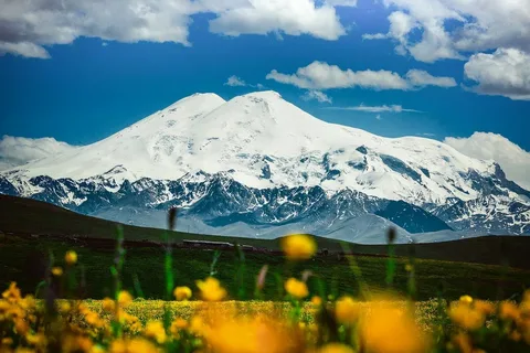 Яндекс картинки