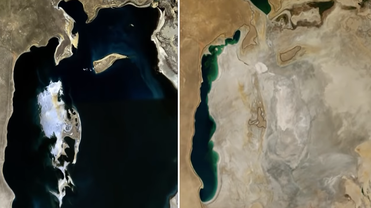 Изображения взято из открытого источника 