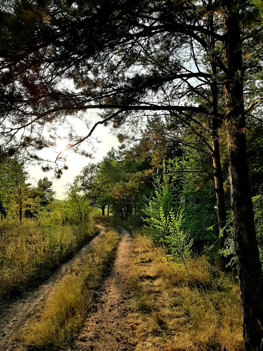 2. Наполненно.