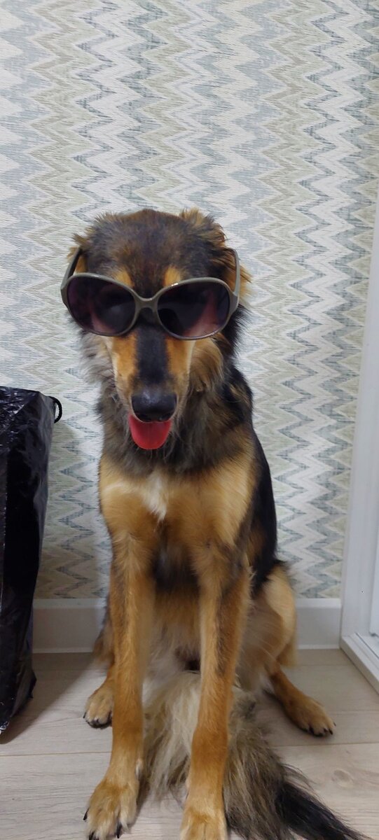 Афина - фотомодель 