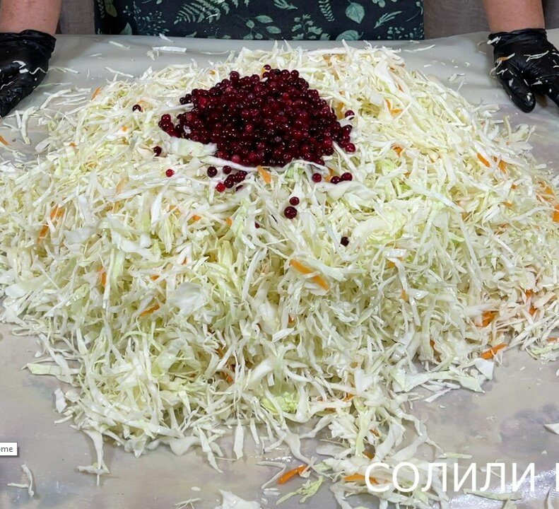 Быстрая маринованная капуста с брусникой