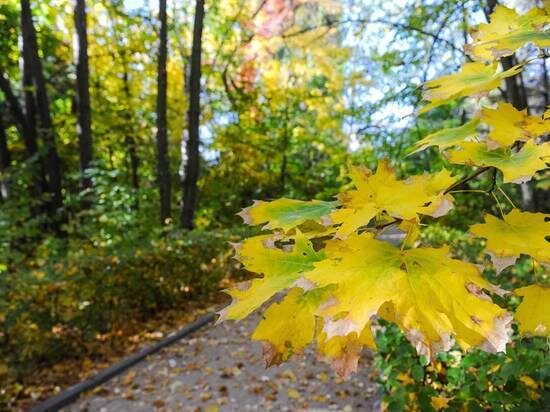 © ФОТО: ИД «ВОЛГОГРАДСКАЯ ПРАВДА» / СЕРГЕЙ ГРИГОРЕНКО / АРХИВ.