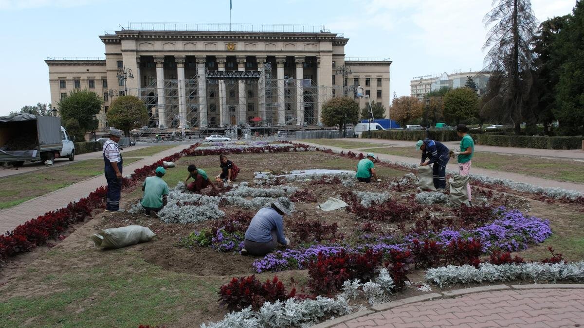    Люби восстанавливают вытоптанную клумбу:пресс-служба акимата Алматы