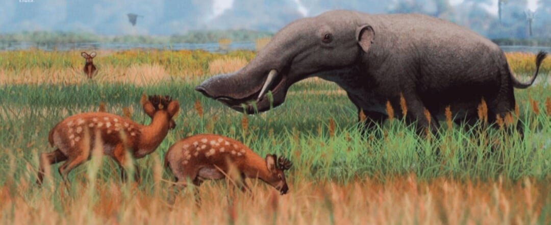 -Мам, а почему у дяди такой рот? -Не смотри в его сторону, не прилично, мало ли что у других бывает.