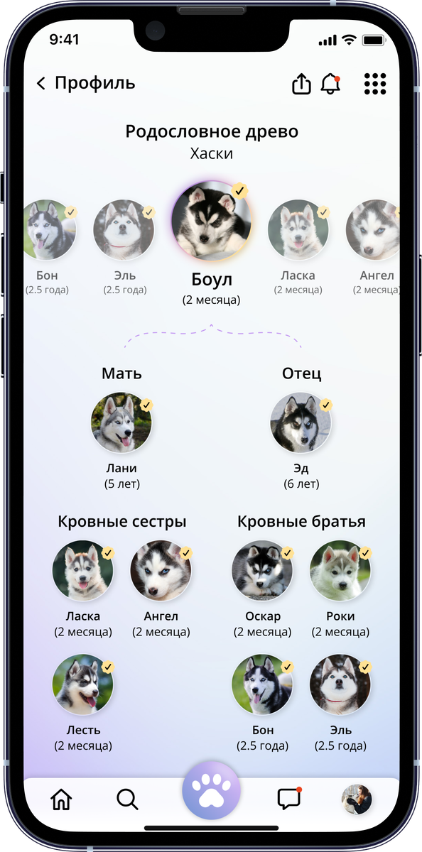 Древо родословной
