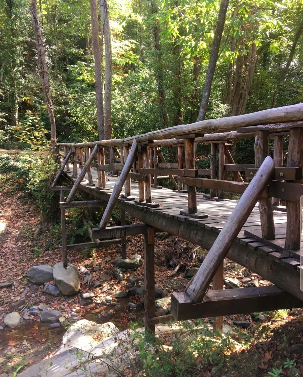 Фото из открытых источников 