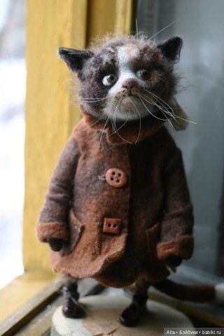 Кот-авантюрист. Зовут Том