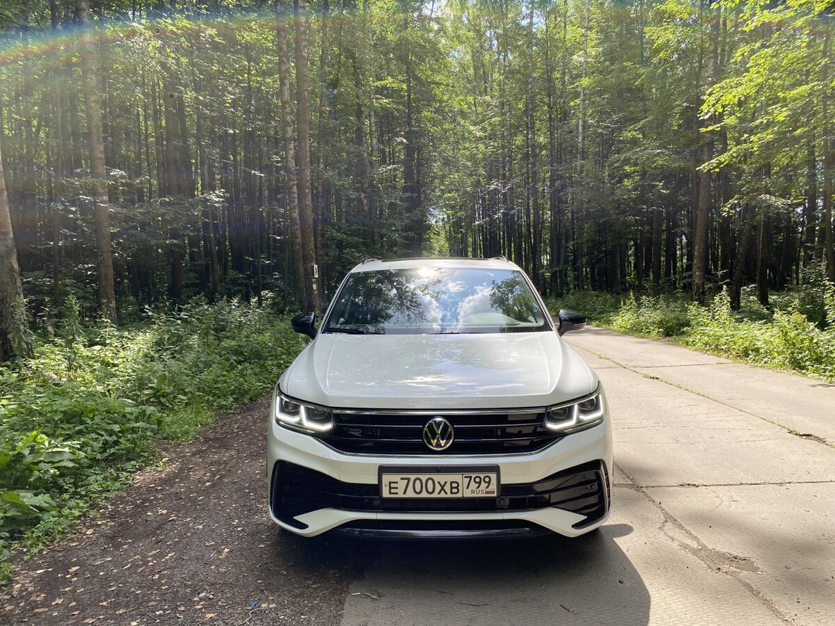 Мощный красавчик в анфас.