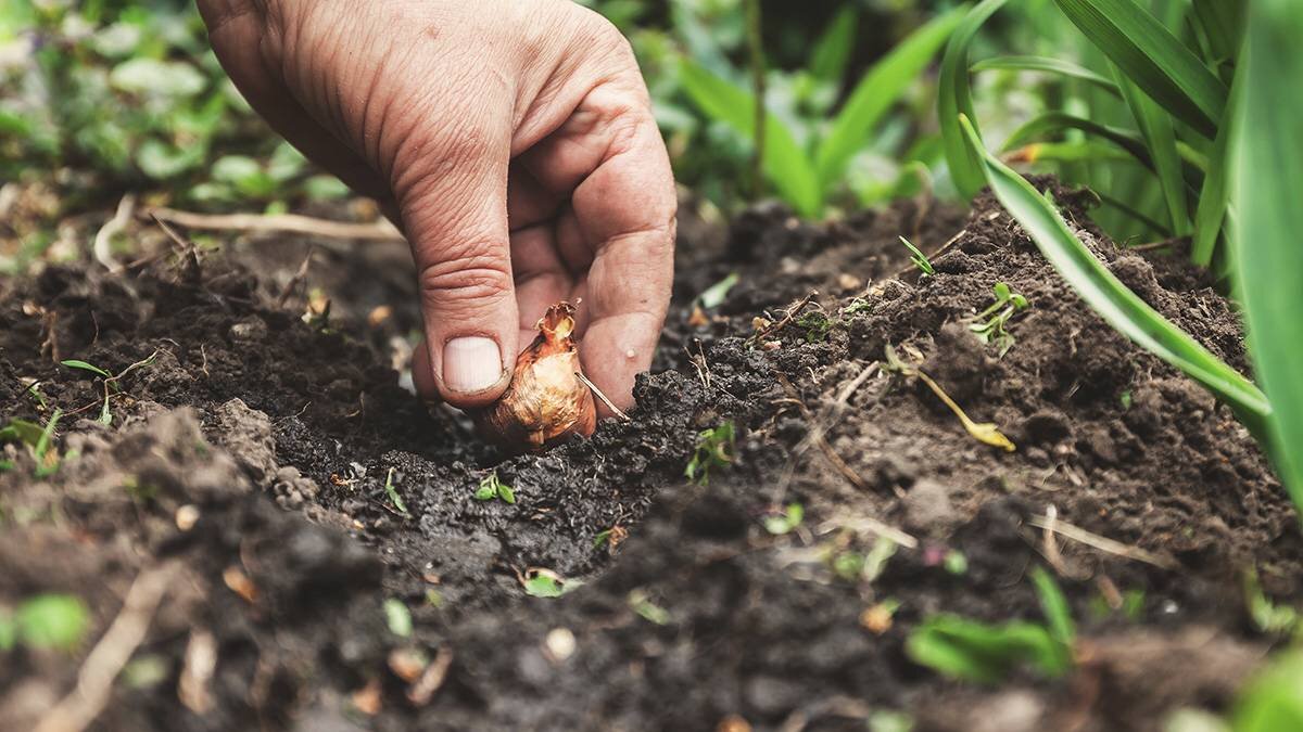    Фото: shutterstock