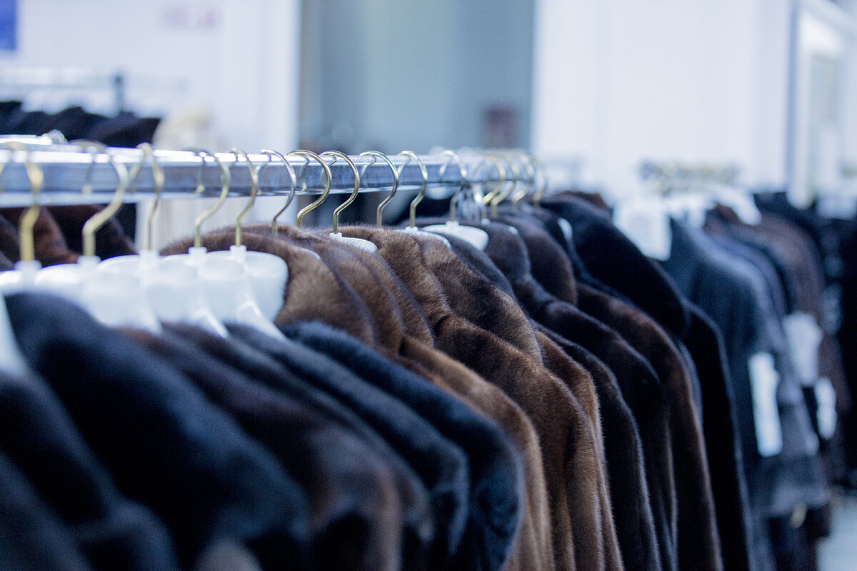 Фотография из открытых источников