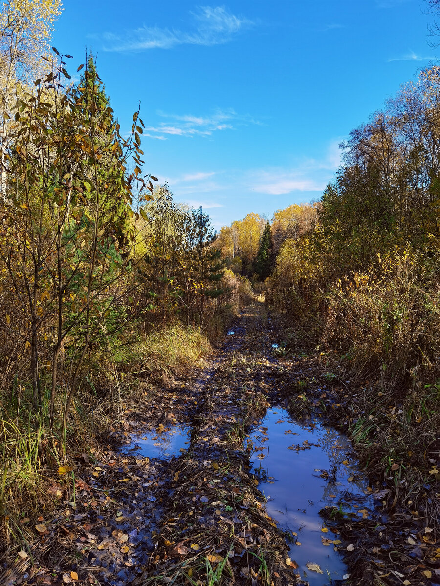 С погодой повезло! 