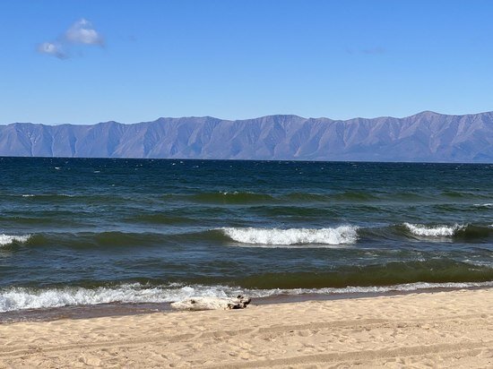     Фото: Елена Кокорина