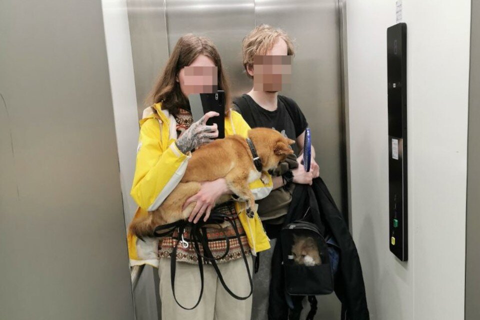     Анна с парнем завели двоих детей - собаку и кошку. Фото: предоставлено героиней публикации.