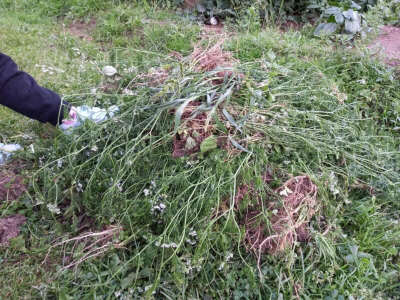 Не сжигайте траву на поверхности грунта