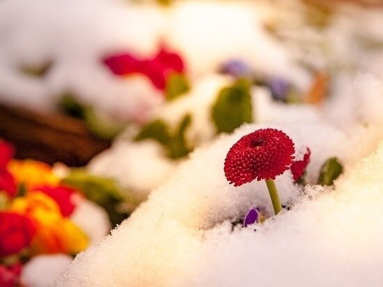     ФОТО: PIXABAY