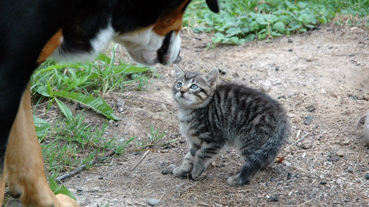 источник фото: factroom.ru