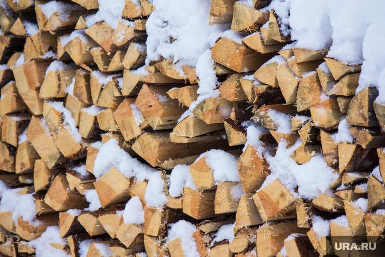    Украинцев призвали уезжать в села к родственникам с запасами дров