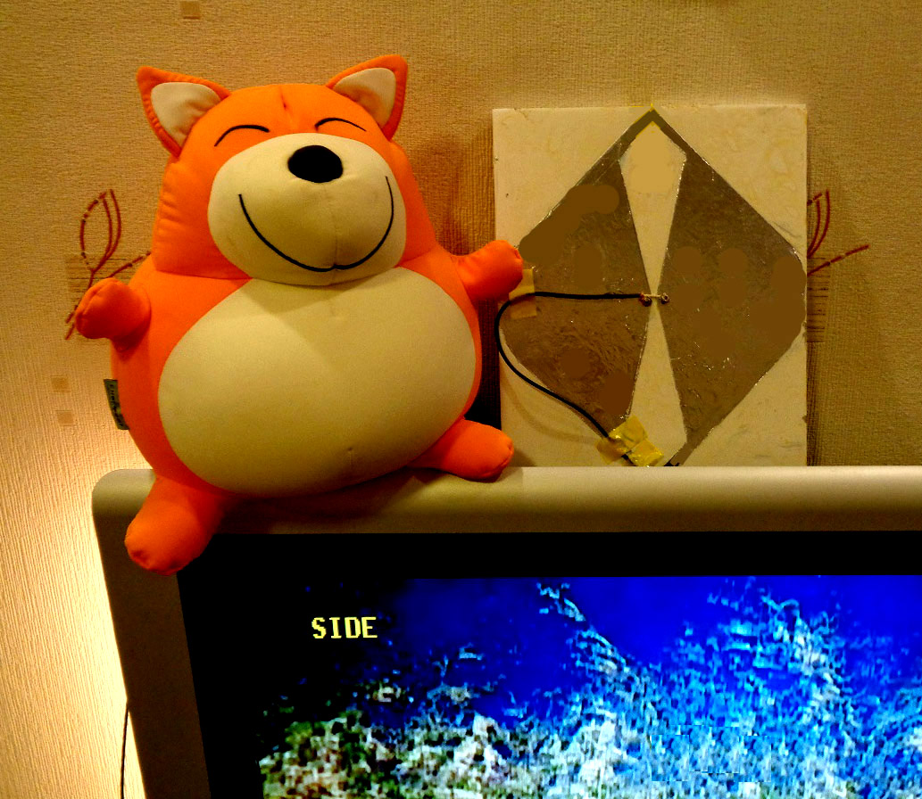 Фото 1.  Антенна имеет размер не больше пары ладоней.