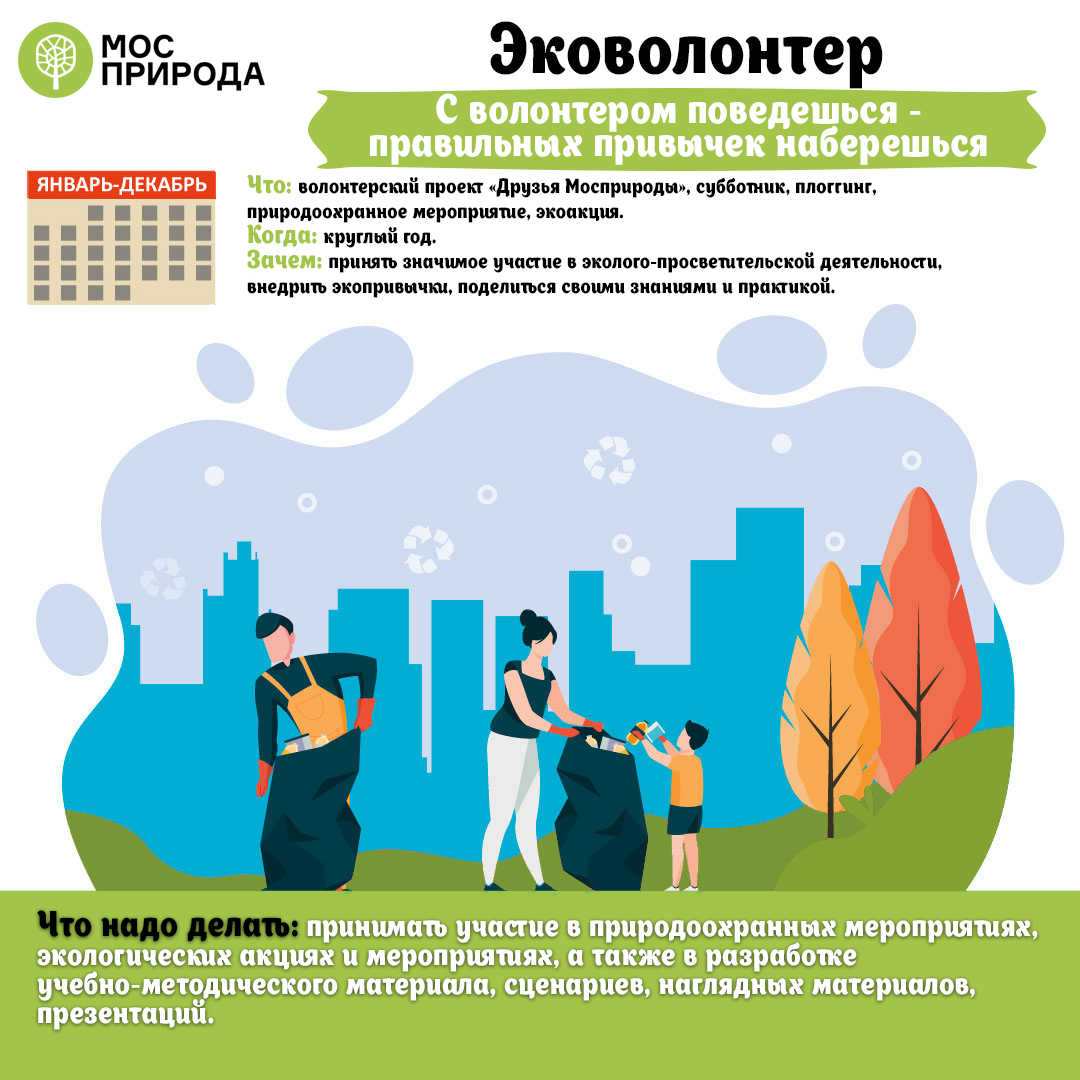 Международные волонтерские проекты