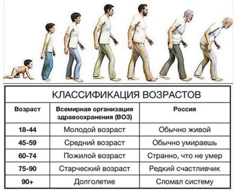 Характеристики возрастов жителей России | Мысли и по волне моей памяти |  Дзен