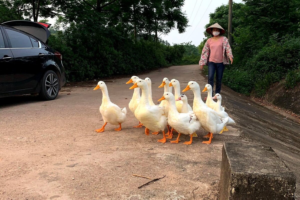 КРЯ! Спасибо, что уток не прогнали, ведь они не в масках
