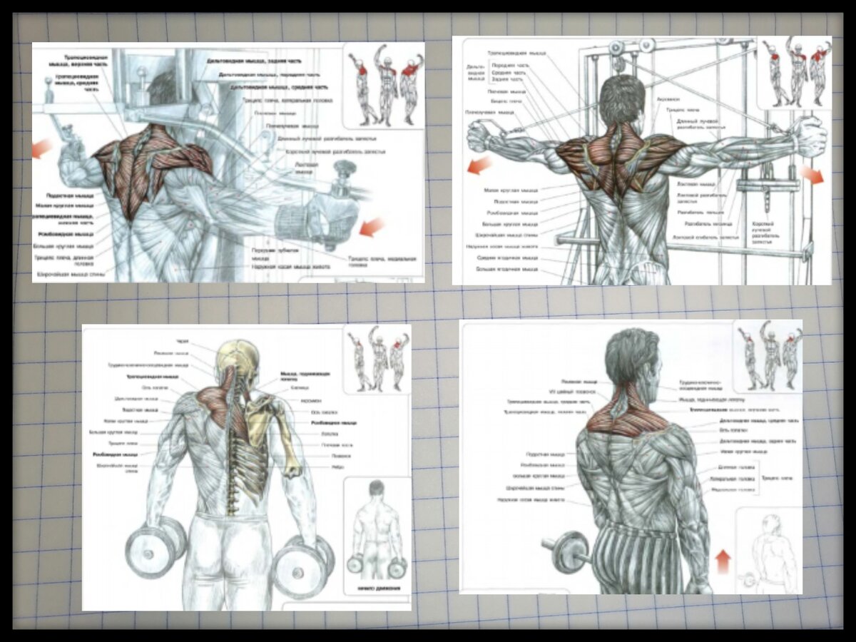 Самые полезные упражнения для осанки. Исправь сутулость! | Body-кач | Дзен