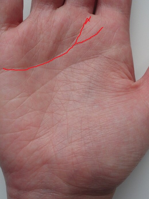 Хиромантия линия жизни и линия судьбы. Линия судьбы линия ума линия меркурия. Хиромантия линия жизни. Линия судьбы и линия сердца. Линии судьбы.