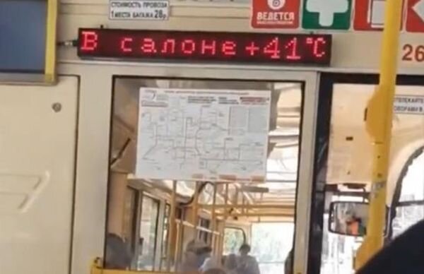 Источник фото: Южные дела