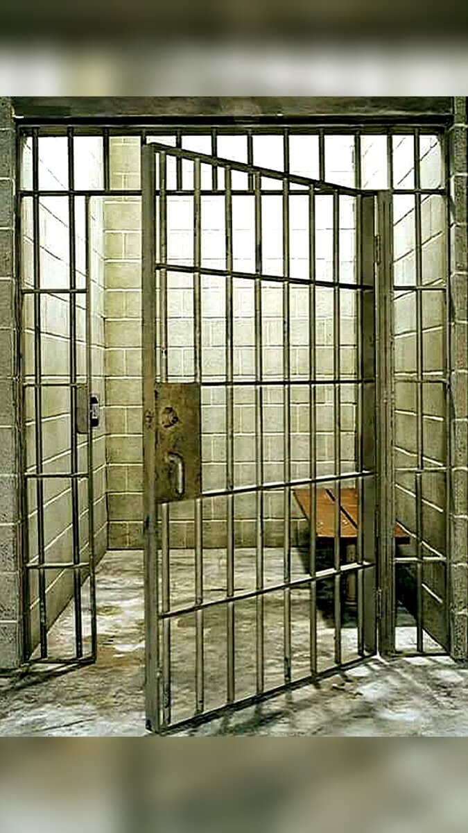 Фото с сайта https://clck.ru/Vy8Lf