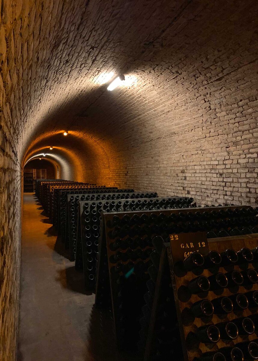 Винные погреба Шампани во Франции