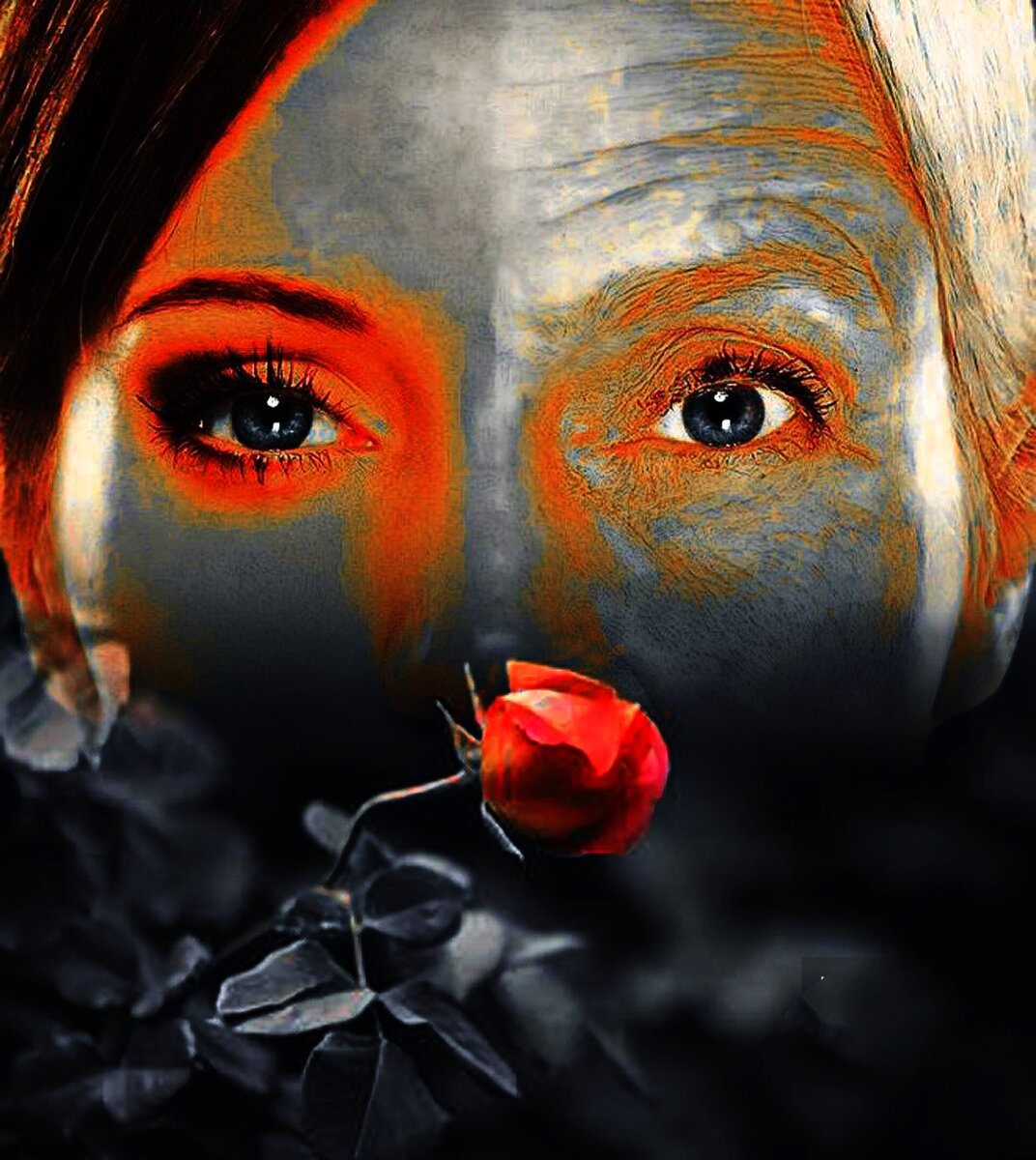 Фотоколлаж автора статьи