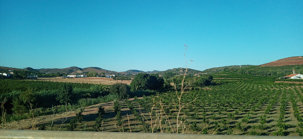 Распаханная равнина.