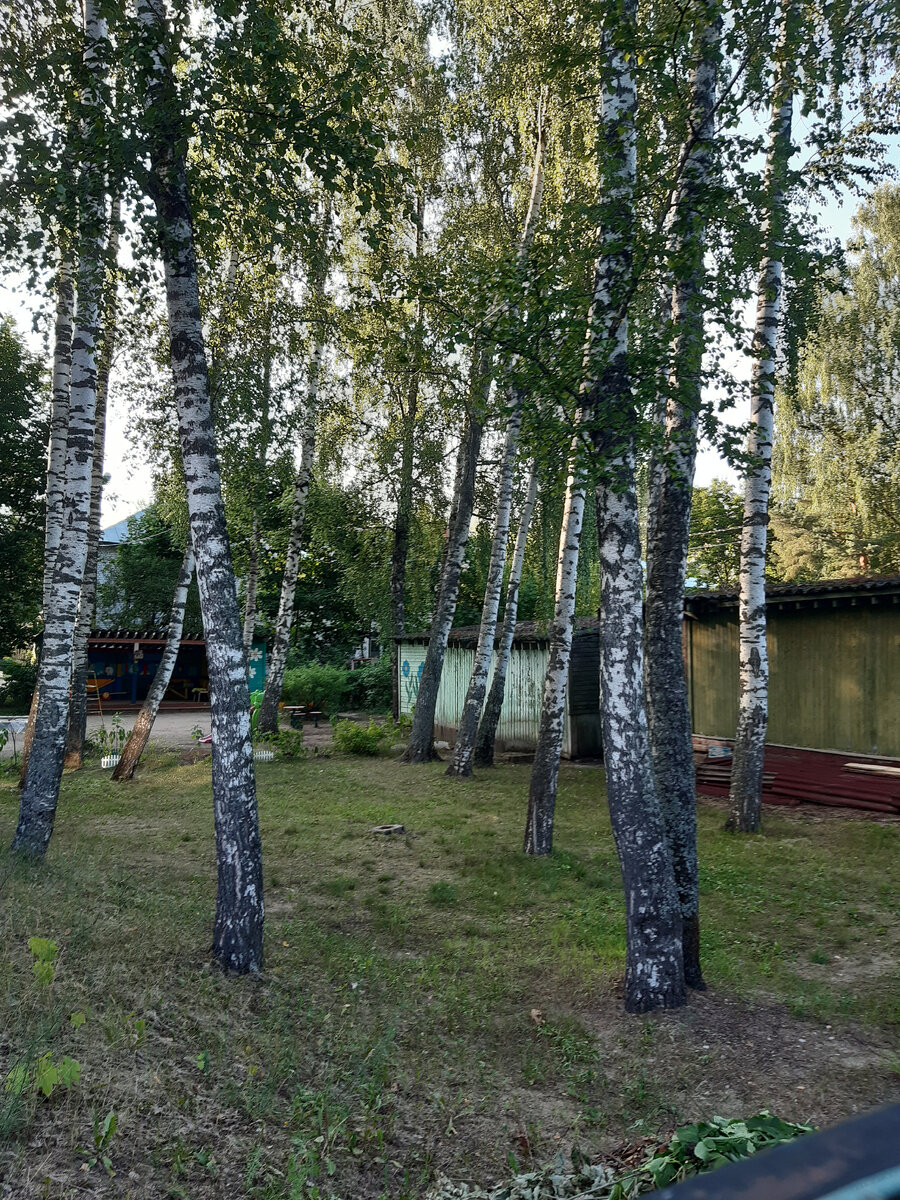 Зелень и свобода. Научилась ценить, прожив 25+ лет в столице...