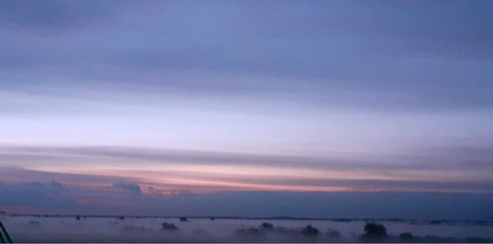 Осенний туман.  Фото автора