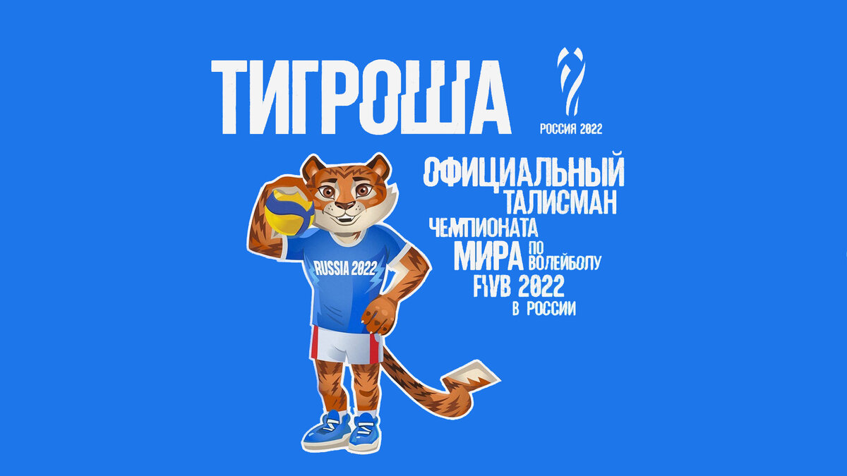 Фото: АНО “Оргкомитет волейбол 2022”