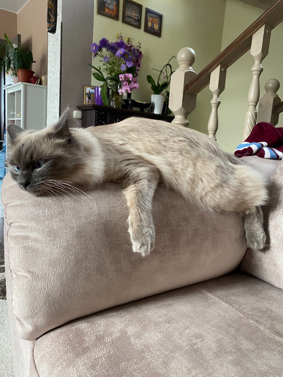 То чувство, когда мамка куда-то уехала, а тебя с собой не взяла 