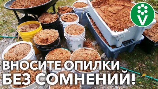 Даже тонкий слой опилок улучшит вашу почву!