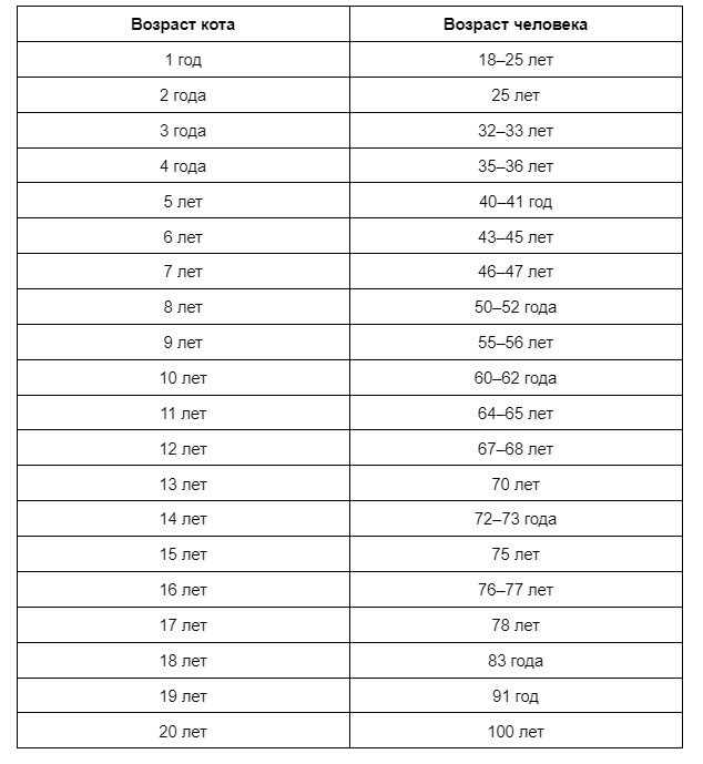 Сколько кошачьих лет по человеческим меркам. Кошачьи года на человеческие таблица. 10 Кошачьих лет по человеческим. Возраст вампиров по человеческим меркам. Возраст демонов по человеческим меркам.
