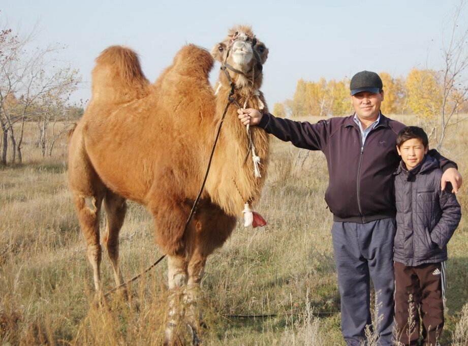 Фото: alau.kz. kstnews.kz. atameken.kz