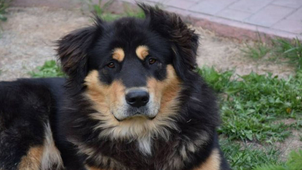 Источник: aquatech-spb.ru