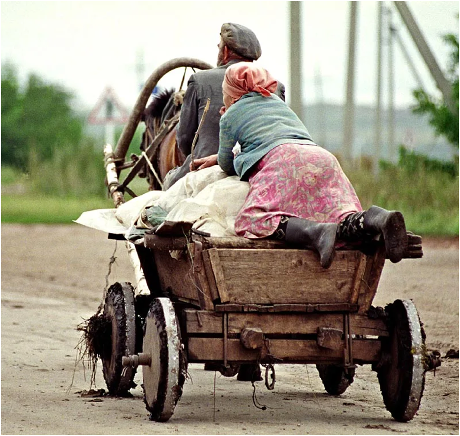 крестьянская телега. повозка запряженная волами. сон телега ехать. телега с сеном. сон телега ехать.