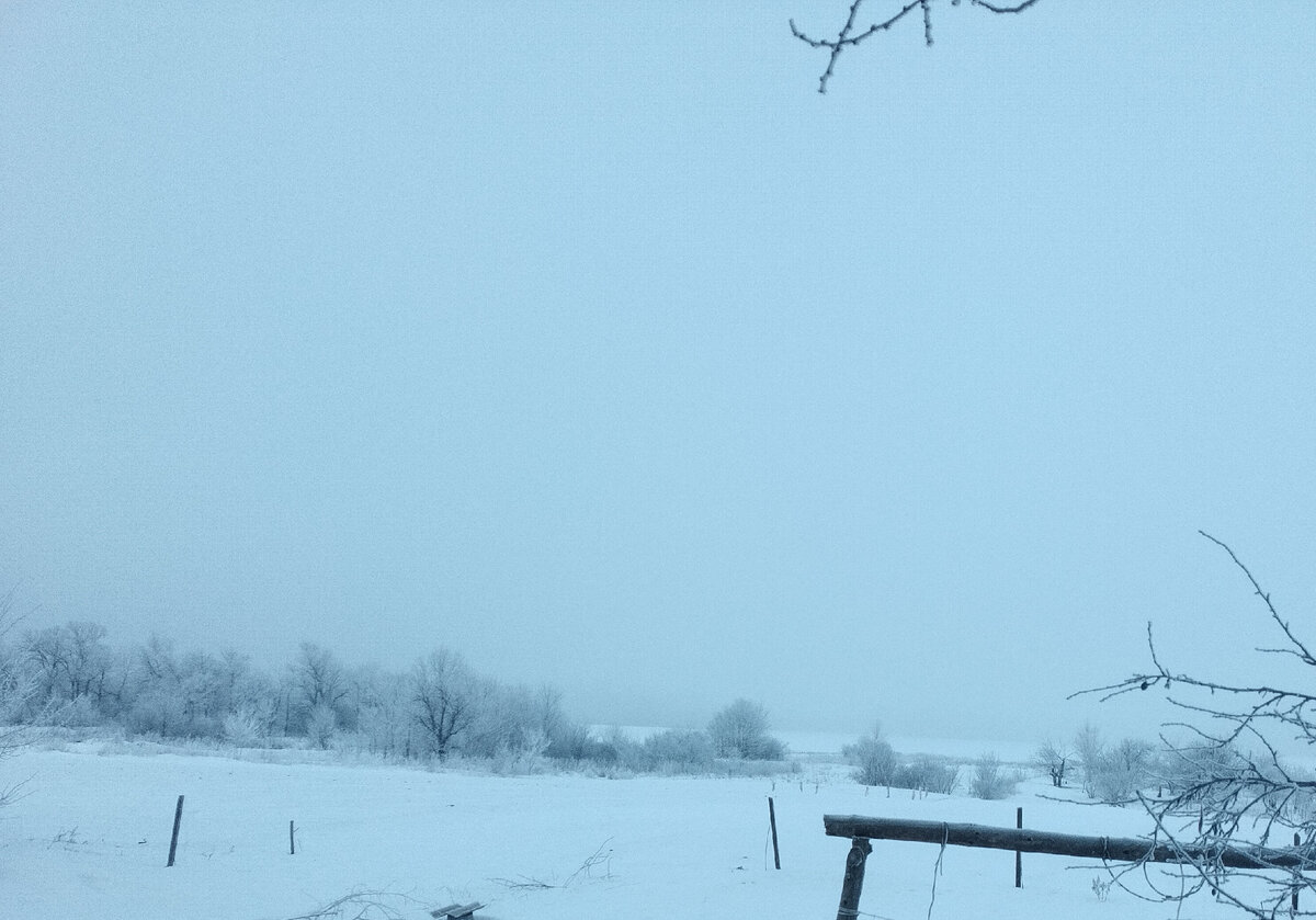 Не обрабатывала снимки. Но вот этот получился светлый