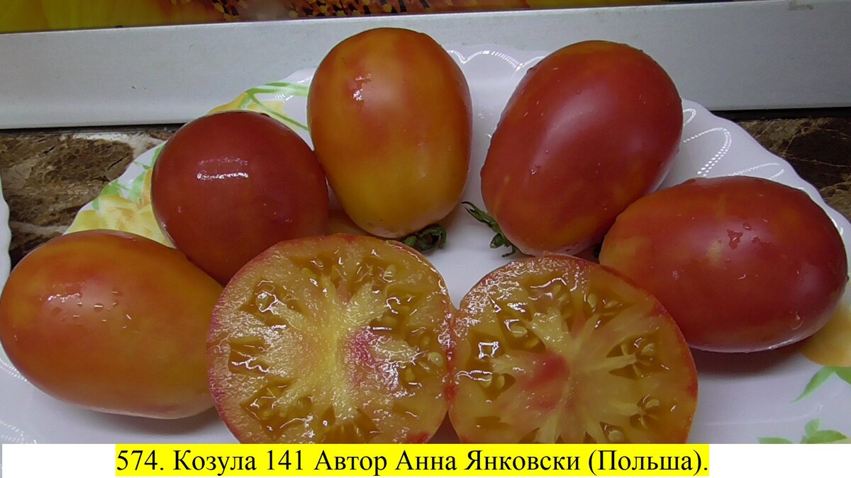 Лучшие томаты с подробным описанием и фото. 60 сортов коллекционных томатов- самых популярных, самых красивых и вкусных.