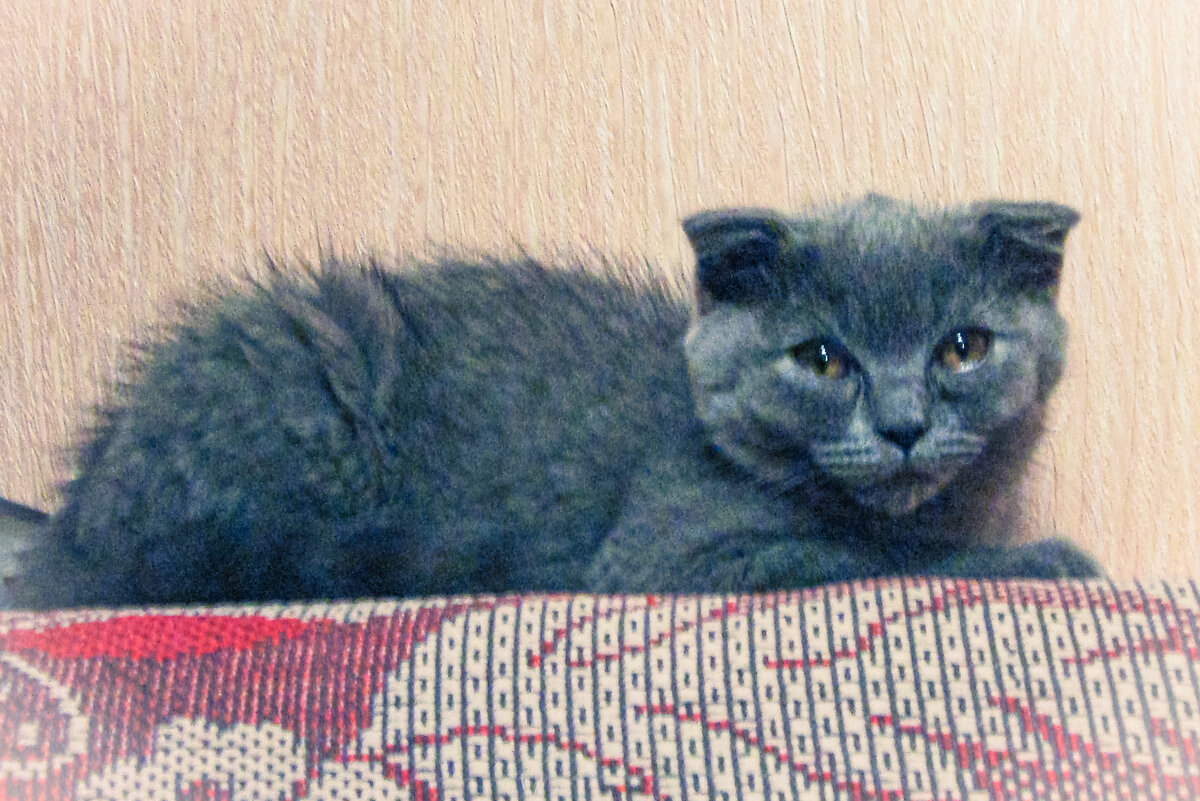 Вот таким я помню себя в самый первый день в новом доме