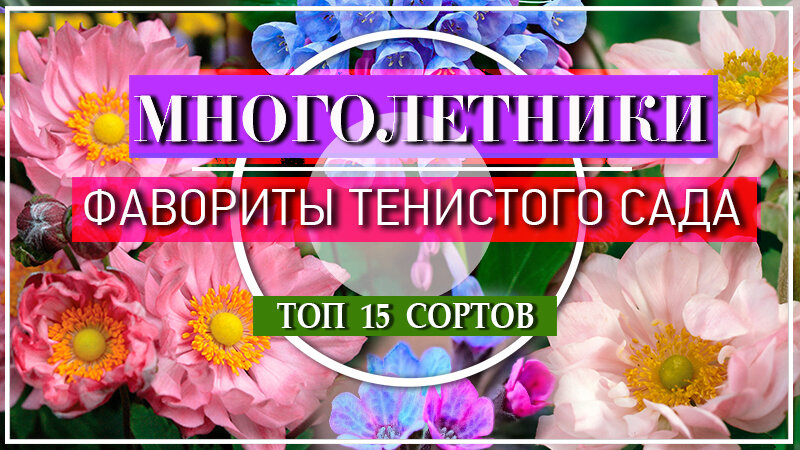 Тенелюбивые