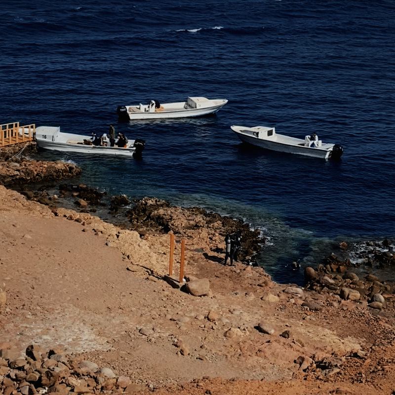 Внизу справа небольшой разлом, это вход в дайвинг сайт «Беллс»