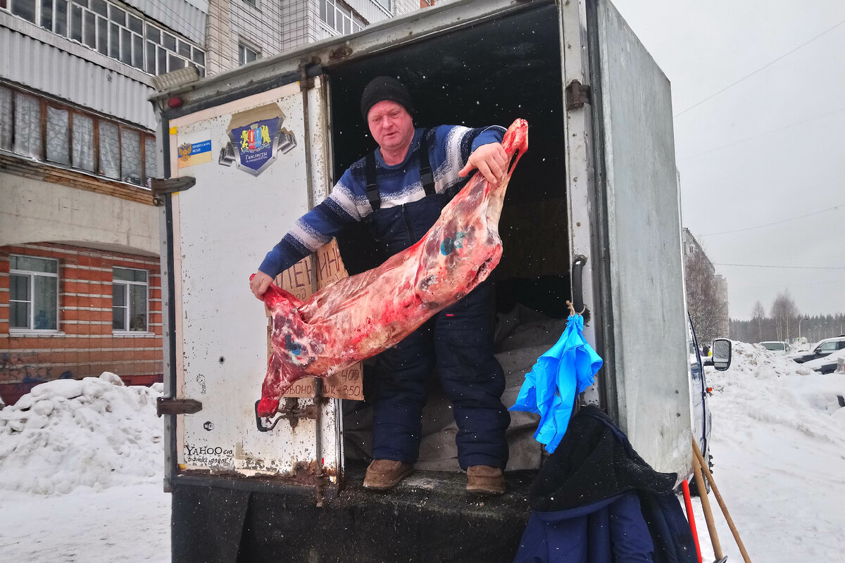 Тушка молодого 4-5-месячного оленя весит около 25-30 килограмм